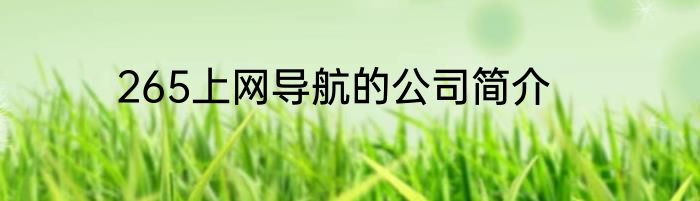 265上网导航的公司简介