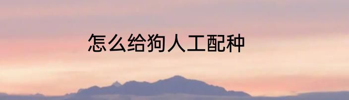 怎么给狗人工配种