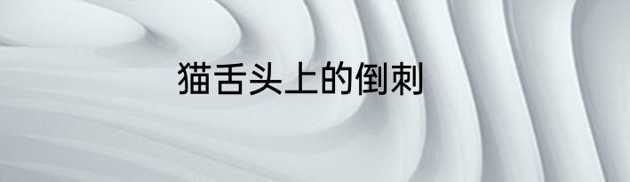 2016奥运会足球冠军是谁