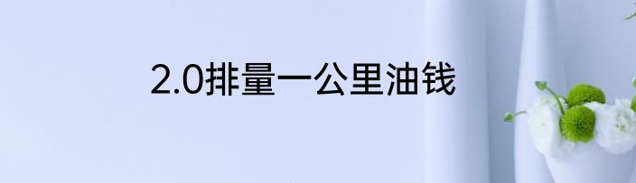 2.0排量一公里油钱