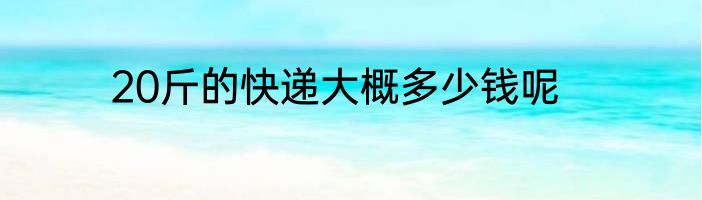 20斤的快递大概多少钱呢