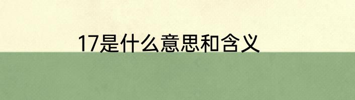 17是什么意思和含义