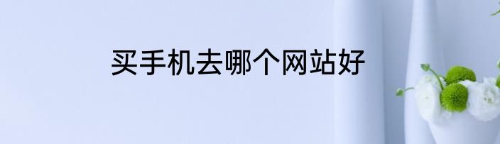 买手机去哪个网站好