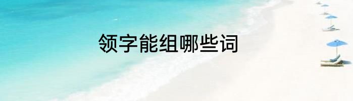 领字能组哪些词