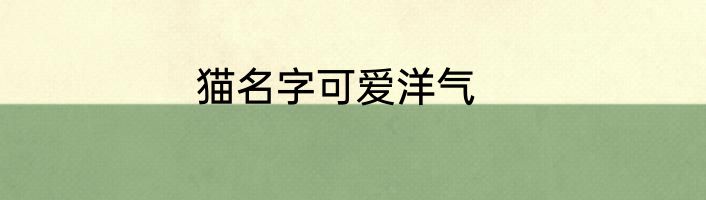 猫名字可爱洋气