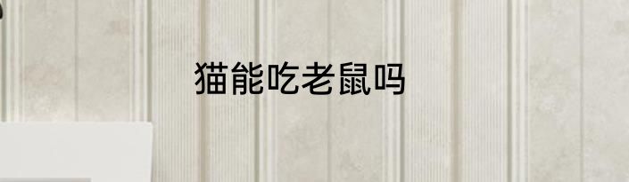 猫能吃老鼠吗