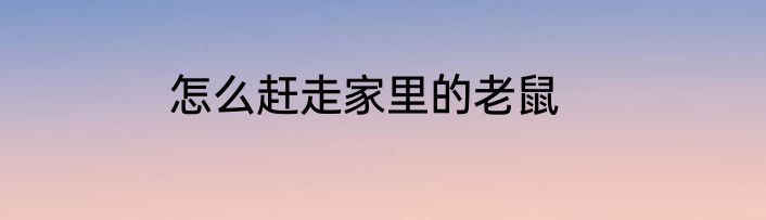 怎么赶走家里的老鼠