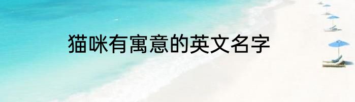 猫咪有寓意的英文名字