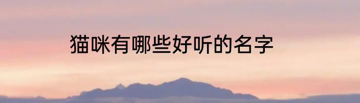 猫咪有哪些好听的名字