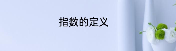 指数的定义