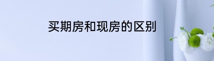 买期房和现房的区别
