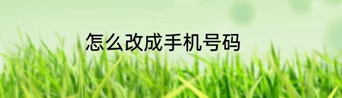 怎么改成手机号码