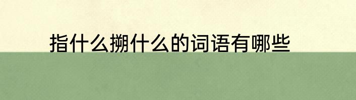 指什么搠什么的词语有哪些