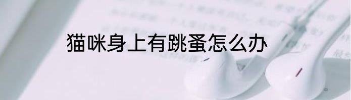 猫咪身上有跳蚤怎么办