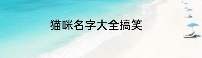 猫咪名字大全搞笑