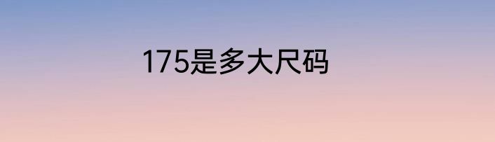 175是多大尺码