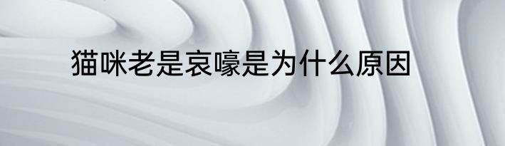 猫咪老是哀嚎是为什么原因
