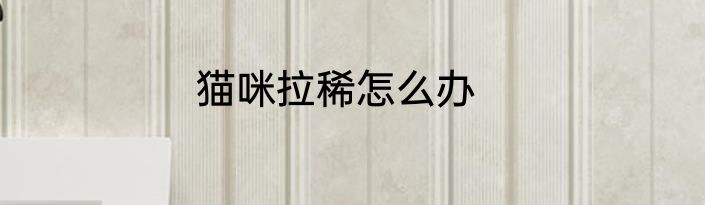 猫咪拉稀怎么办