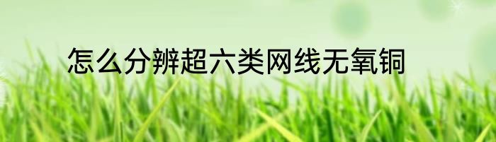 怎么分辨超六类网线无氧铜