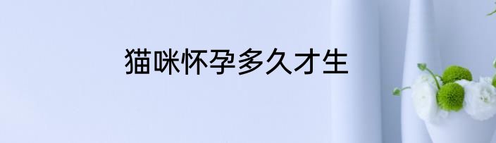 猫咪怀孕多久才生