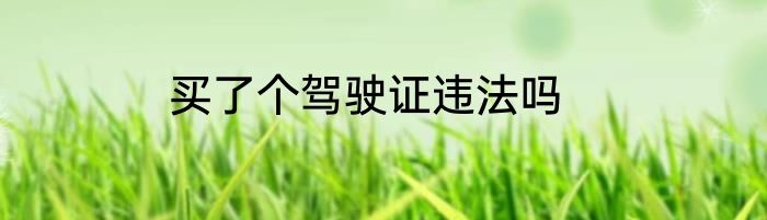 买了个驾驶证违法吗