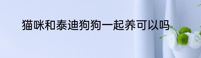 猫咪和泰迪狗狗一起养可以吗
