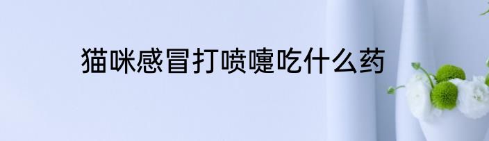 猫咪感冒打喷嚏吃什么药