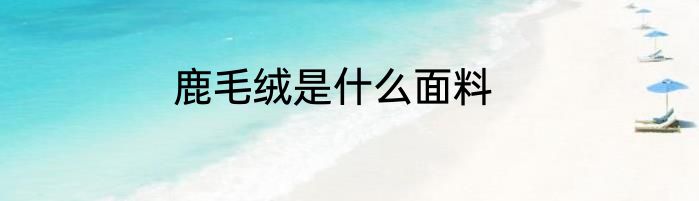 鹿毛绒是什么面料