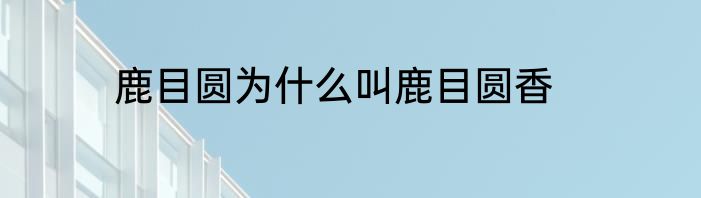 鹿目圆为什么叫鹿目圆香
