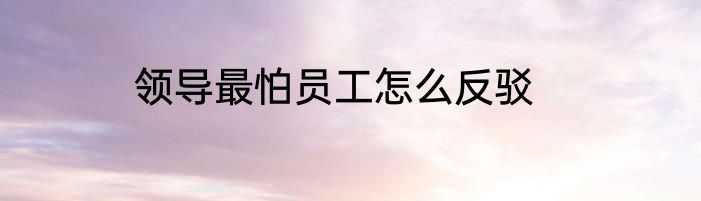 领导最怕员工怎么反驳