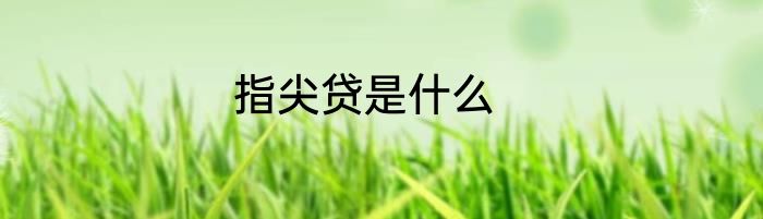 指尖贷是什么