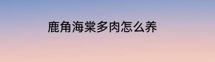 鹿角海棠多肉怎么养