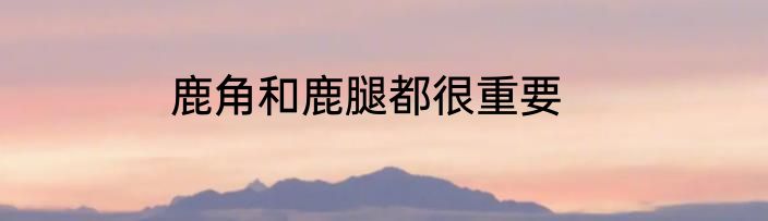 鹿角和鹿腿都很重要