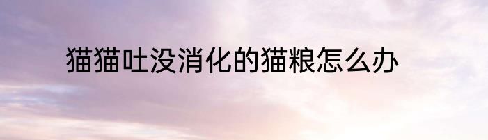 猫猫吐没消化的猫粮怎么办