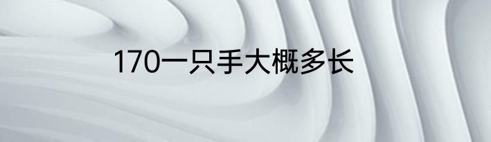 170一只手大概多长