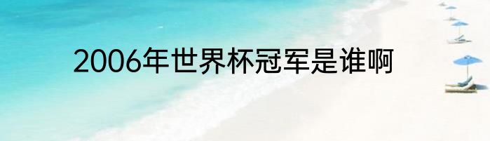 2006年世界杯冠军是谁啊
