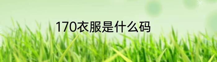 170衣服是什么码