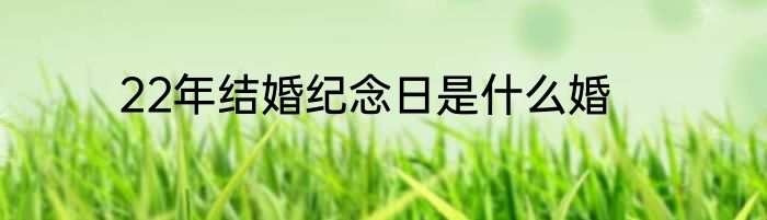 22年结婚纪念日是什么婚