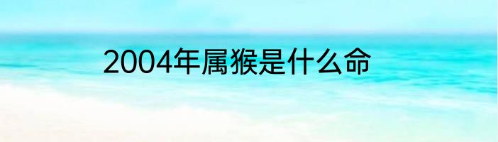 2004年属猴是什么命