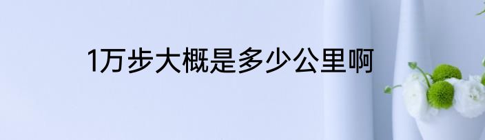 1万步大概是多少公里啊