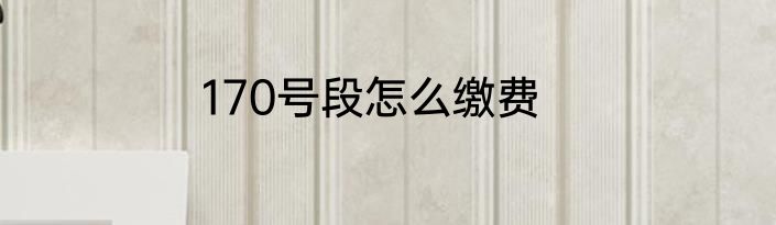170号段怎么缴费