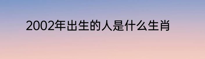 2002年出生的人是什么生肖
