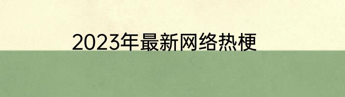 2023年最新网络热梗