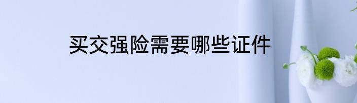 买交强险需要哪些证件