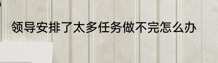 领导安排了太多任务做不完怎么办