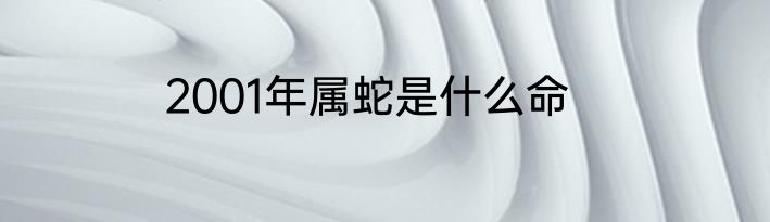 2001年属蛇是什么命