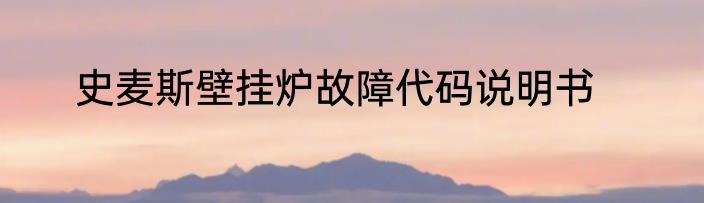 史麦斯壁挂炉故障代码说明书
