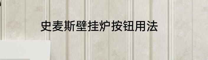 史麦斯壁挂炉按钮用法