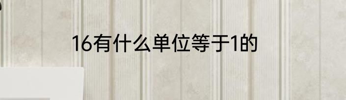 16有什么单位等于1的