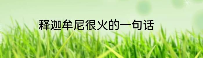 释迦牟尼很火的一句话